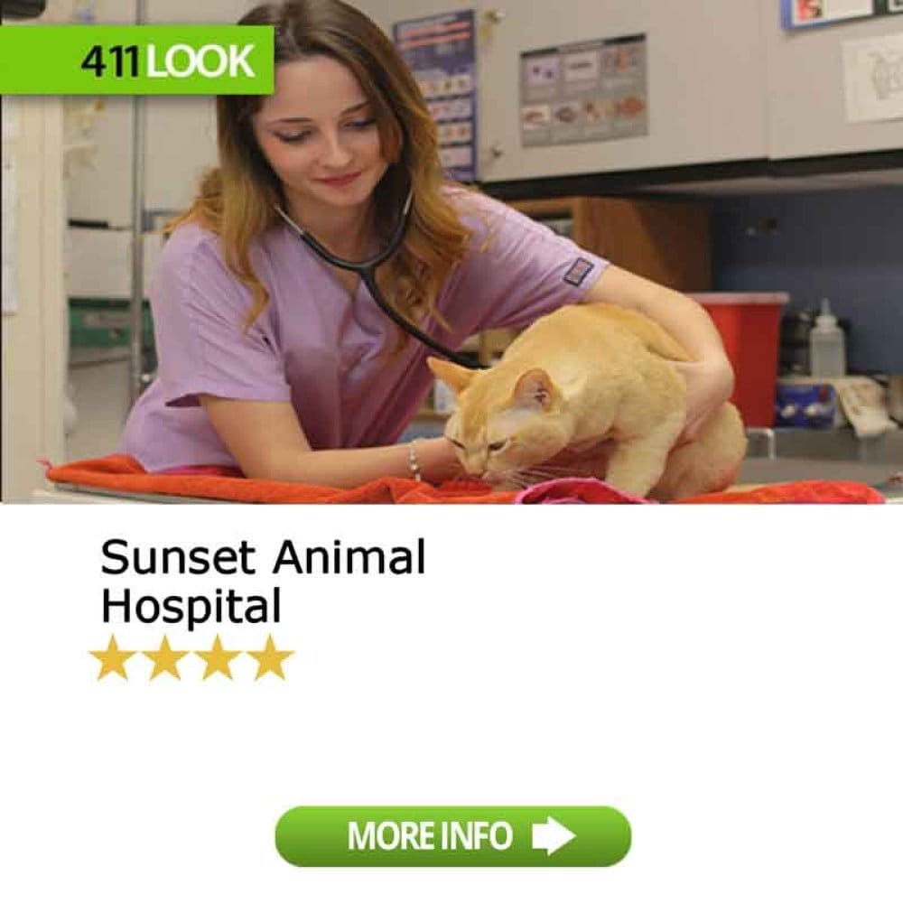 Sunset Animal Hospital